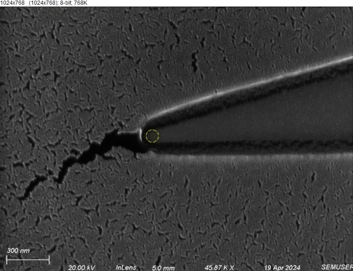 First Image